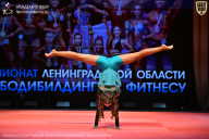 Чемпионат Ленинградской области по бодибилдингу - 2026