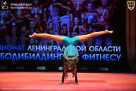 Чемпионат Ленинградской области по бодибилдингу - 2026