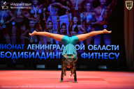 Чемпионат Ленинградской области по бодибилдингу - 2026