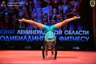 Чемпионат Ленинградской области по бодибилдингу - 2026