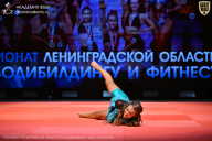 Чемпионат Ленинградской области по бодибилдингу - 2026