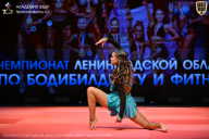 Чемпионат Ленинградской области по бодибилдингу - 2026