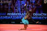 Чемпионат Ленинградской области по бодибилдингу - 2026
