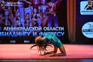 Чемпионат Ленинградской области по бодибилдингу - 2026