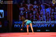 Чемпионат Ленинградской области по бодибилдингу - 2026