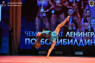 Чемпионат Ленинградской области по бодибилдингу - 2026