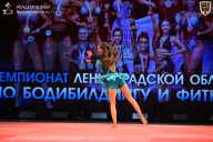 Чемпионат Ленинградской области по бодибилдингу - 2026