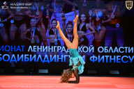 Чемпионат Ленинградской области по бодибилдингу - 2026