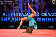 Чемпионат Ленинградской области по бодибилдингу - 2026