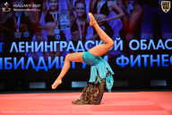 Чемпионат Ленинградской области по бодибилдингу - 2026