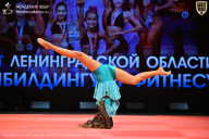 Чемпионат Ленинградской области по бодибилдингу - 2026