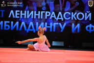Чемпионат Ленинградской области по бодибилдингу - 2026