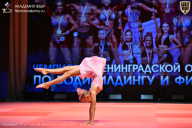 Чемпионат Ленинградской области по бодибилдингу - 2026