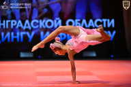 Чемпионат Ленинградской области по бодибилдингу - 2026