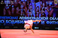 Чемпионат Ленинградской области по бодибилдингу - 2026