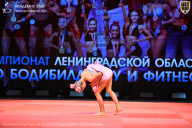Чемпионат Ленинградской области по бодибилдингу - 2026