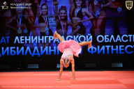 Чемпионат Ленинградской области по бодибилдингу - 2026