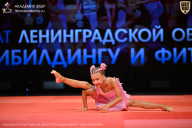 Чемпионат Ленинградской области по бодибилдингу - 2026