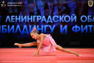 Чемпионат Ленинградской области по бодибилдингу - 2026