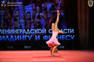 Чемпионат Ленинградской области по бодибилдингу - 2026
