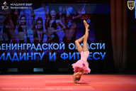 Чемпионат Ленинградской области по бодибилдингу - 2026