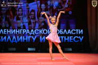 Чемпионат Ленинградской области по бодибилдингу - 2026