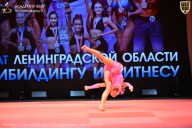 Чемпионат Ленинградской области по бодибилдингу - 2026