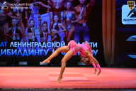 Чемпионат Ленинградской области по бодибилдингу - 2026