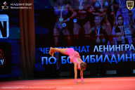 Чемпионат Ленинградской области по бодибилдингу - 2026