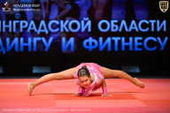 Чемпионат Ленинградской области по бодибилдингу - 2026