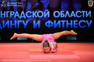 Чемпионат Ленинградской области по бодибилдингу - 2026