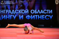 Чемпионат Ленинградской области по бодибилдингу - 2026