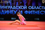 Чемпионат Ленинградской области по бодибилдингу - 2026