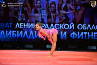 Чемпионат Ленинградской области по бодибилдингу - 2026