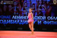 Чемпионат Ленинградской области по бодибилдингу - 2026