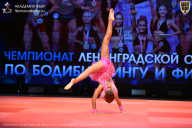 Чемпионат Ленинградской области по бодибилдингу - 2026