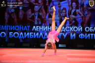 Чемпионат Ленинградской области по бодибилдингу - 2026