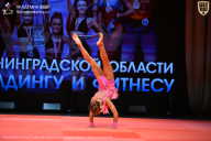 Чемпионат Ленинградской области по бодибилдингу - 2026