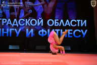 Чемпионат Ленинградской области по бодибилдингу - 2026