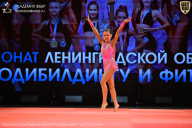 Чемпионат Ленинградской области по бодибилдингу - 2026