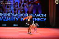 Чемпионат Ленинградской области по бодибилдингу - 2026