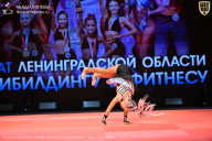 Чемпионат Ленинградской области по бодибилдингу - 2026