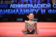 Чемпионат Ленинградской области по бодибилдингу - 2026