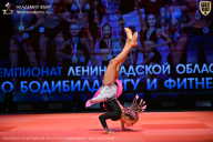 Чемпионат Ленинградской области по бодибилдингу - 2026