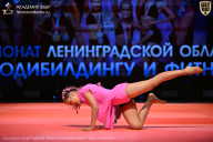 Чемпионат Ленинградской области по бодибилдингу - 2026