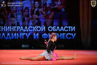 Чемпионат Ленинградской области по бодибилдингу - 2026