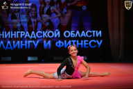 Чемпионат Ленинградской области по бодибилдингу - 2026