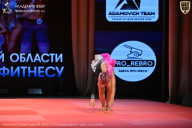 Чемпионат Ленинградской области по бодибилдингу - 2026