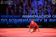 Чемпионат Ленинградской области по бодибилдингу - 2026