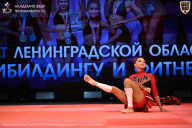 Чемпионат Ленинградской области по бодибилдингу - 2026